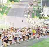 tsd10k01