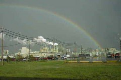 basf03