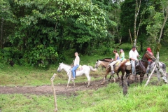 106-0697_IMG