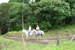 106-0699_IMG
