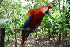106-0700_IMG