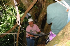 107-0736_IMG