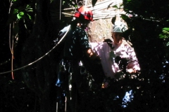 107-0741_IMG