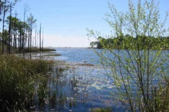 fl020313