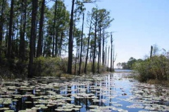 fl020314