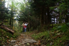 KONICA MINOLTA DIGITAL CAMERA