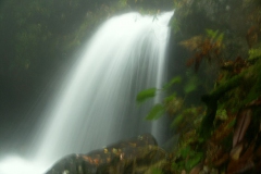 KONICA MINOLTA DIGITAL CAMERA