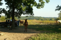 KONICA MINOLTA DIGITAL CAMERA