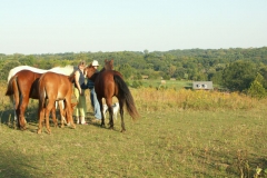 KONICA MINOLTA DIGITAL CAMERA