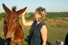 KONICA MINOLTA DIGITAL CAMERA