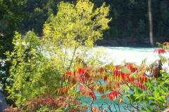 KONICA MINOLTA DIGITAL CAMERA