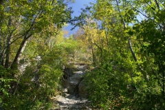 KONICA MINOLTA DIGITAL CAMERA