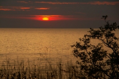 KONICA MINOLTA DIGITAL CAMERA