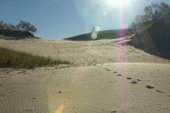 KONICA MINOLTA DIGITAL CAMERA