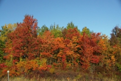 KONICA MINOLTA DIGITAL CAMERA