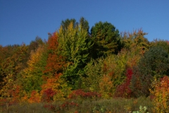 KONICA MINOLTA DIGITAL CAMERA