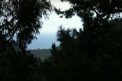 KONICA MINOLTA DIGITAL CAMERA