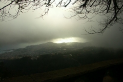 KONICA MINOLTA DIGITAL CAMERA