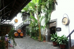 KONICA MINOLTA DIGITAL CAMERA