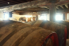 KONICA MINOLTA DIGITAL CAMERA