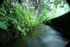 KONICA MINOLTA DIGITAL CAMERA