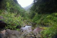 KONICA MINOLTA DIGITAL CAMERA