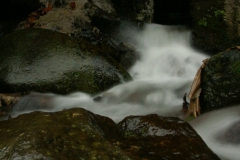 KONICA MINOLTA DIGITAL CAMERA