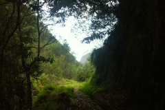 KONICA MINOLTA DIGITAL CAMERA