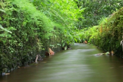 KONICA MINOLTA DIGITAL CAMERA