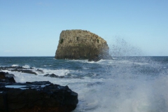 KONICA MINOLTA DIGITAL CAMERA