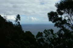 KONICA MINOLTA DIGITAL CAMERA