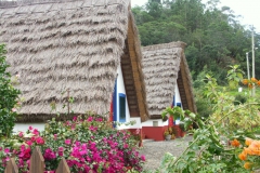 KONICA MINOLTA DIGITAL CAMERA