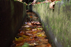 KONICA MINOLTA DIGITAL CAMERA