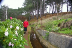 KONICA MINOLTA DIGITAL CAMERA