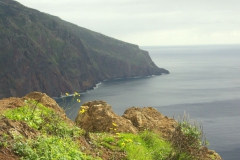 KONICA MINOLTA DIGITAL CAMERA