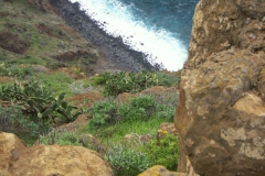 KONICA MINOLTA DIGITAL CAMERA