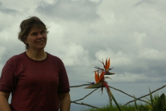 KONICA MINOLTA DIGITAL CAMERA