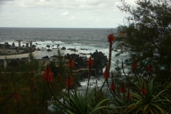 KONICA MINOLTA DIGITAL CAMERA