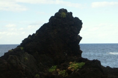 KONICA MINOLTA DIGITAL CAMERA