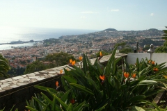 KONICA MINOLTA DIGITAL CAMERA