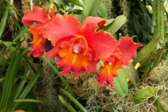 KONICA MINOLTA DIGITAL CAMERA