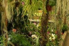 KONICA MINOLTA DIGITAL CAMERA