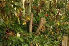 KONICA MINOLTA DIGITAL CAMERA