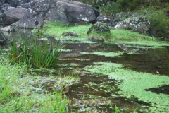 KONICA MINOLTA DIGITAL CAMERA