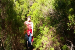 KONICA MINOLTA DIGITAL CAMERA