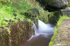 KONICA MINOLTA DIGITAL CAMERA