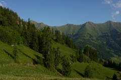 KONICA MINOLTA DIGITAL CAMERA