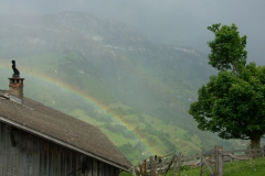 KONICA MINOLTA DIGITAL CAMERA