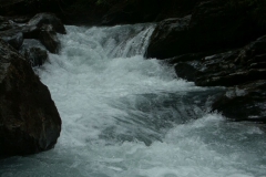 KONICA MINOLTA DIGITAL CAMERA