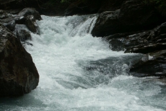 KONICA MINOLTA DIGITAL CAMERA